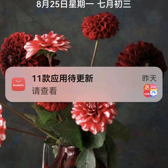 山东长硕科技