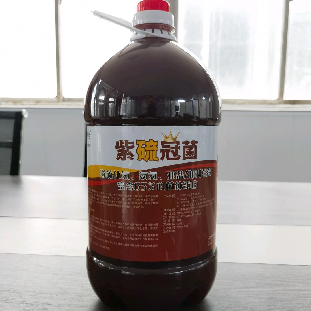 大宇光合菌
