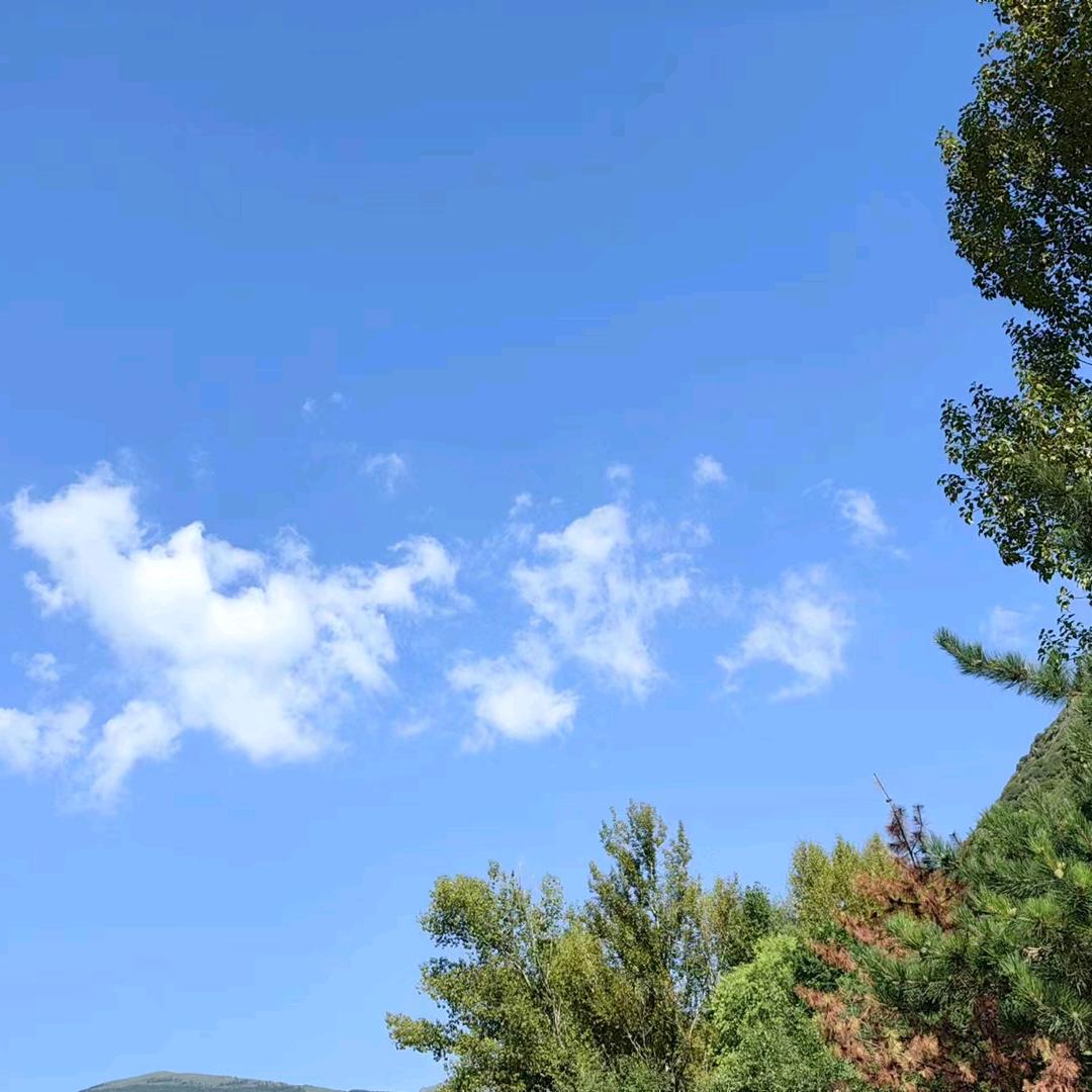 新车资源二手车买卖