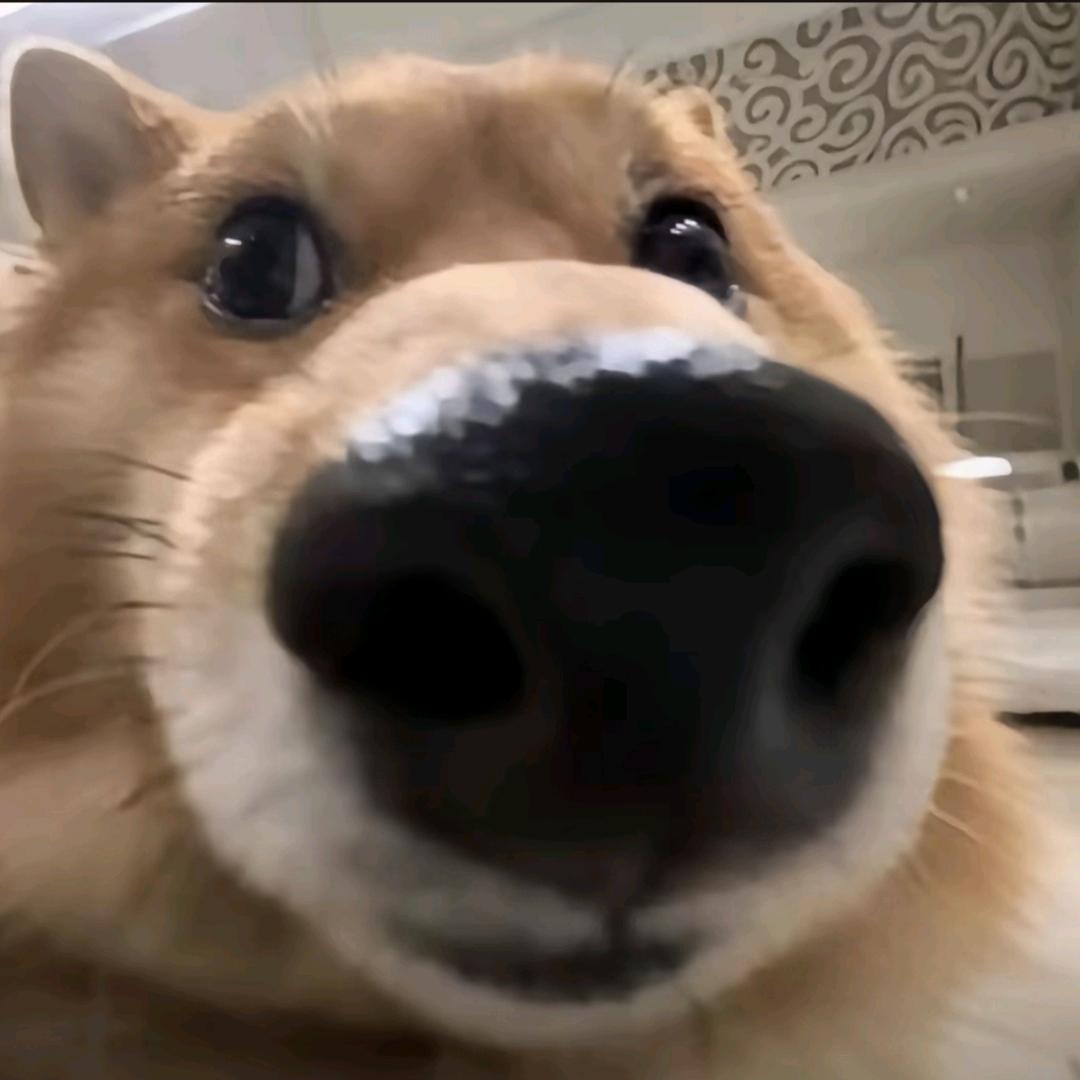 阿祥（三角洲行动）