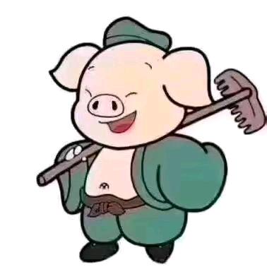 又  系  我
