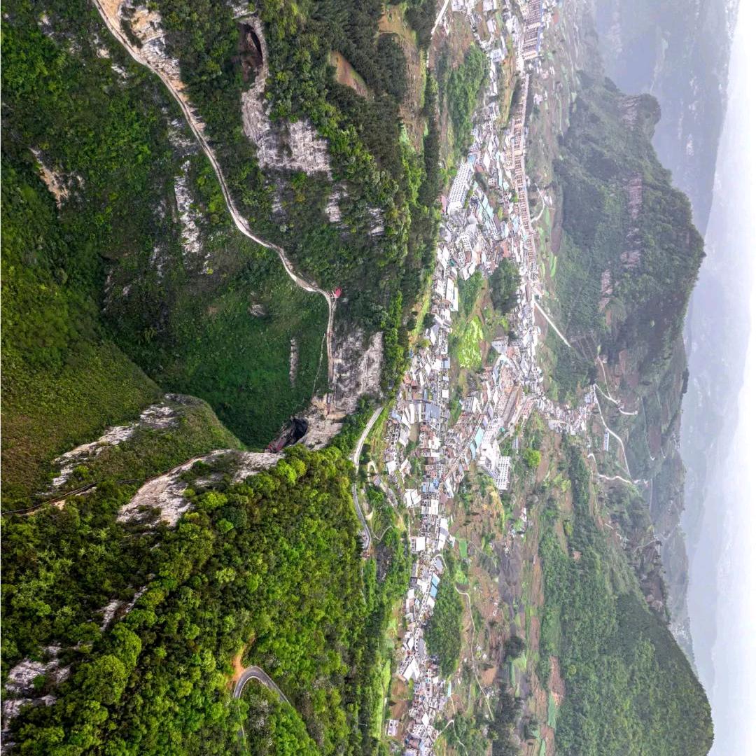 李💖尚💖往💖来