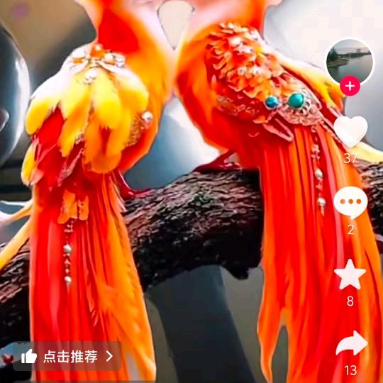 开❤️过好每一天