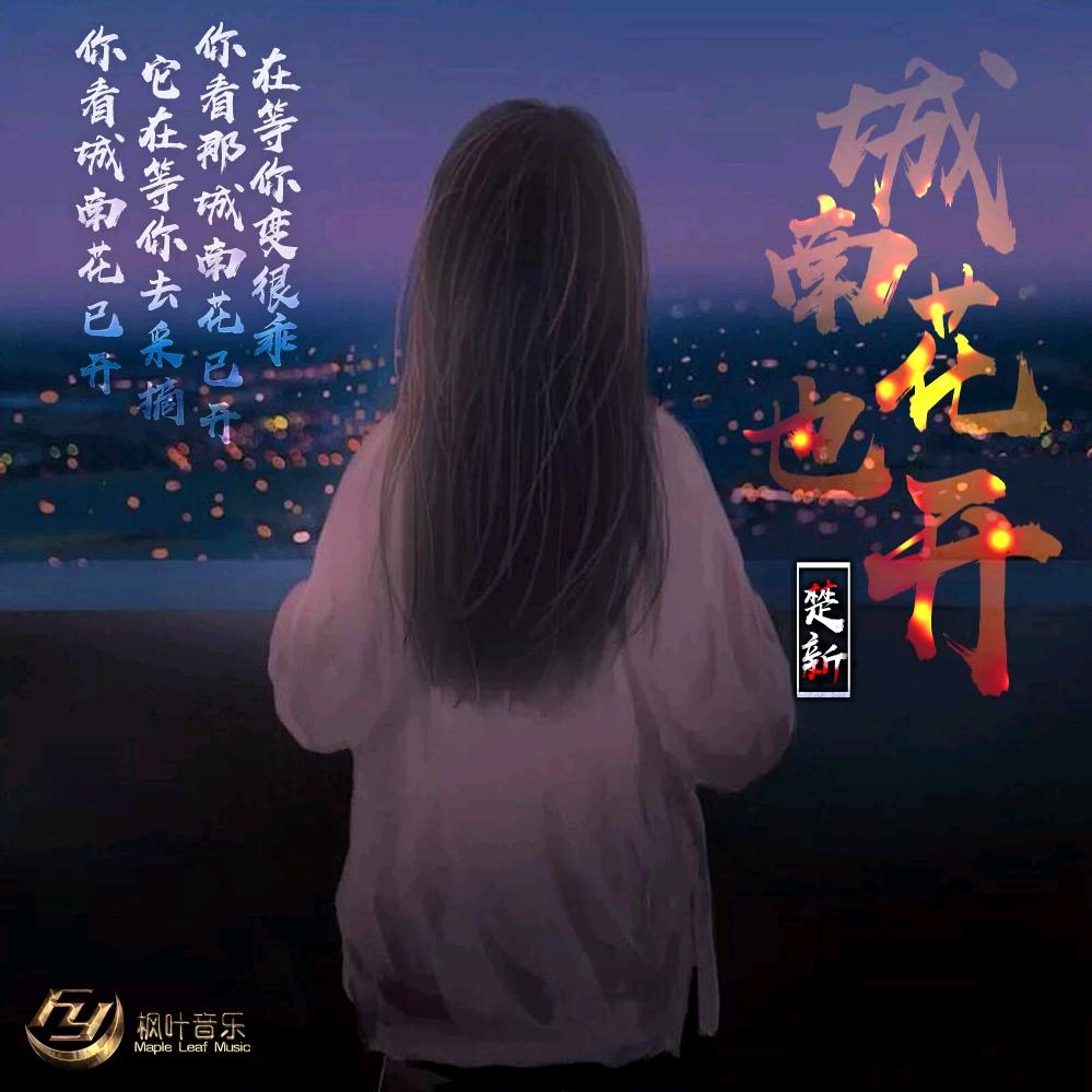 城南花已开