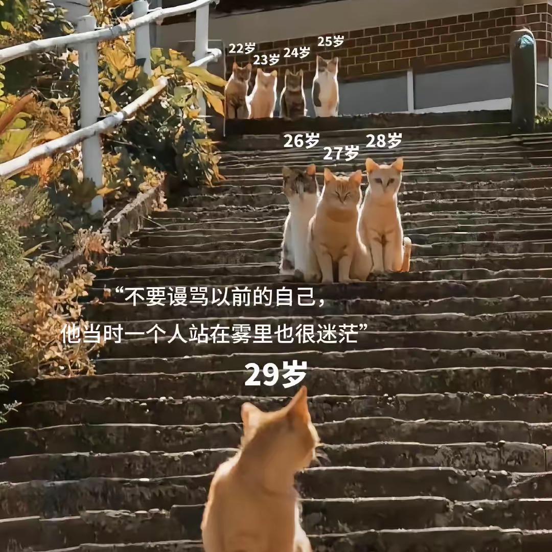 yuhao0227
