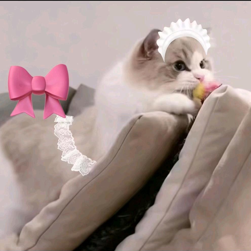 榴莲牛小肠🎀（努力心平气和版）