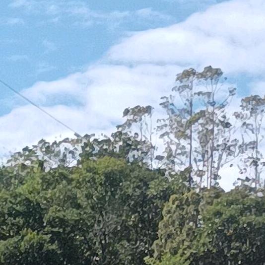 阿弥陀佛🌹修电瓶