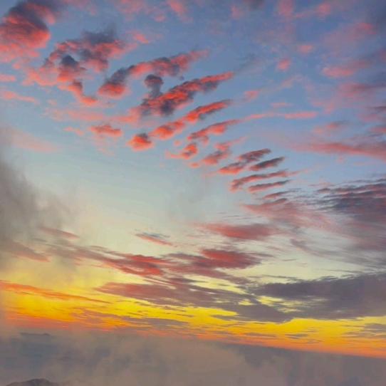 烟花绽放一瞬间