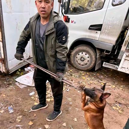 河北套狗王（鬼手）