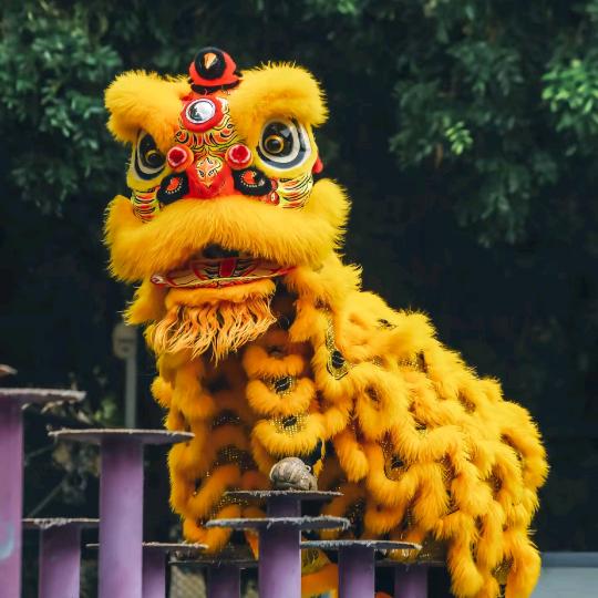 主持小袁【奉节舞狮团】