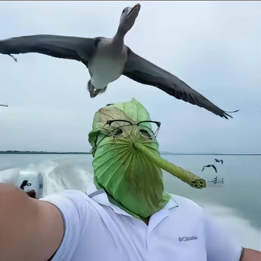 小小的劳资