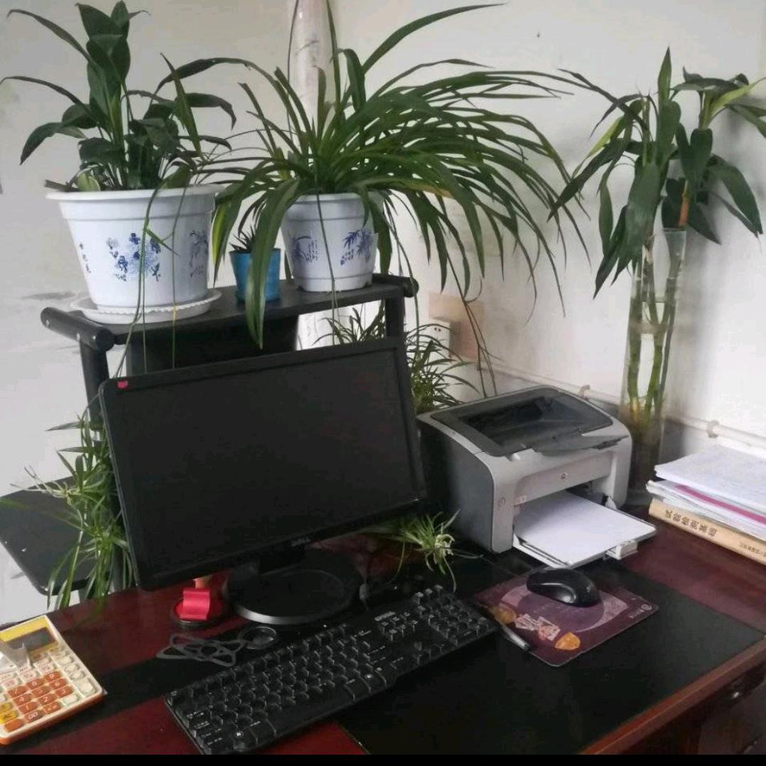 不做大哥好多年