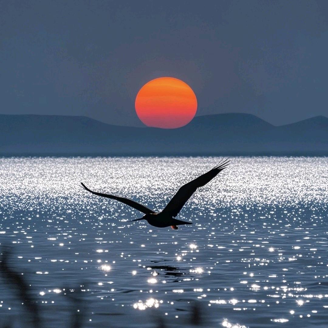 瑾夕夜