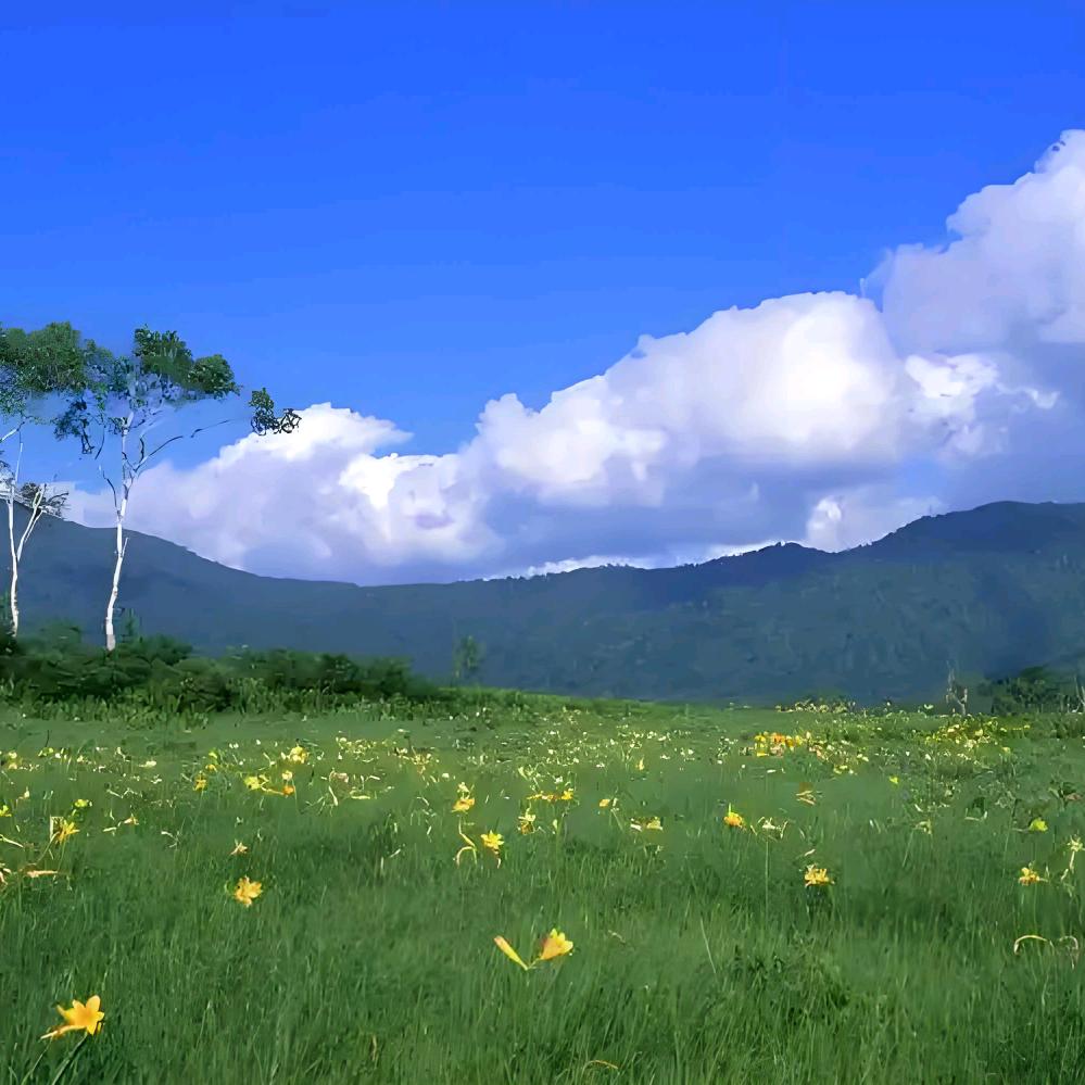 威顿门窗，2023804882，