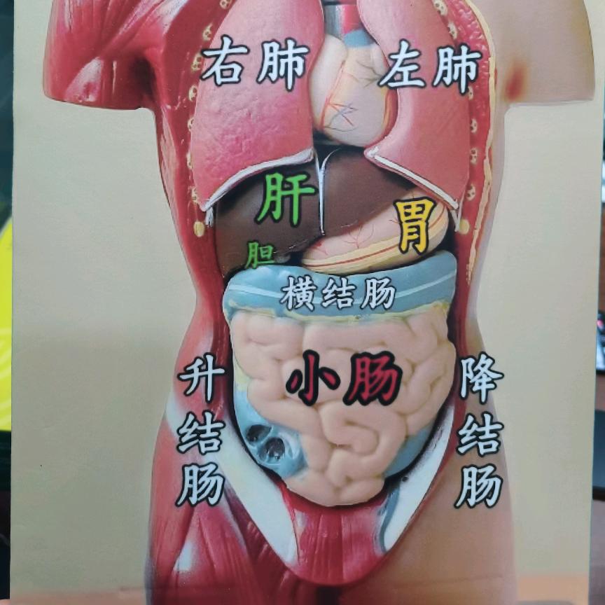东方大市场