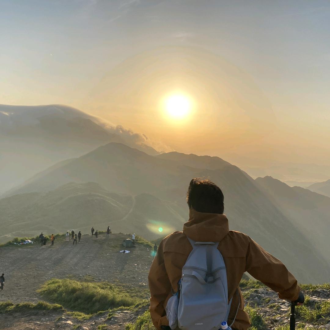 登庆传媒运营鲨鱼