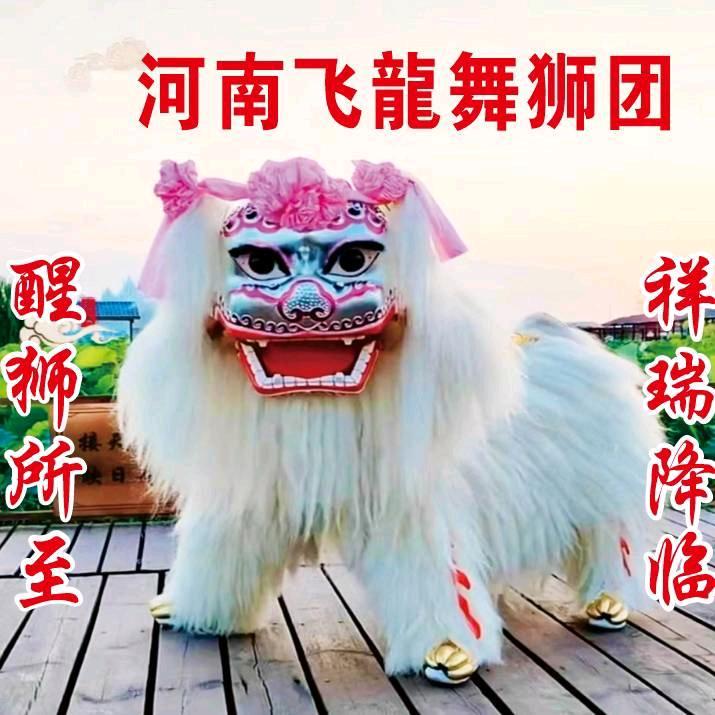 河南飞龍小白狮    （杨团长）