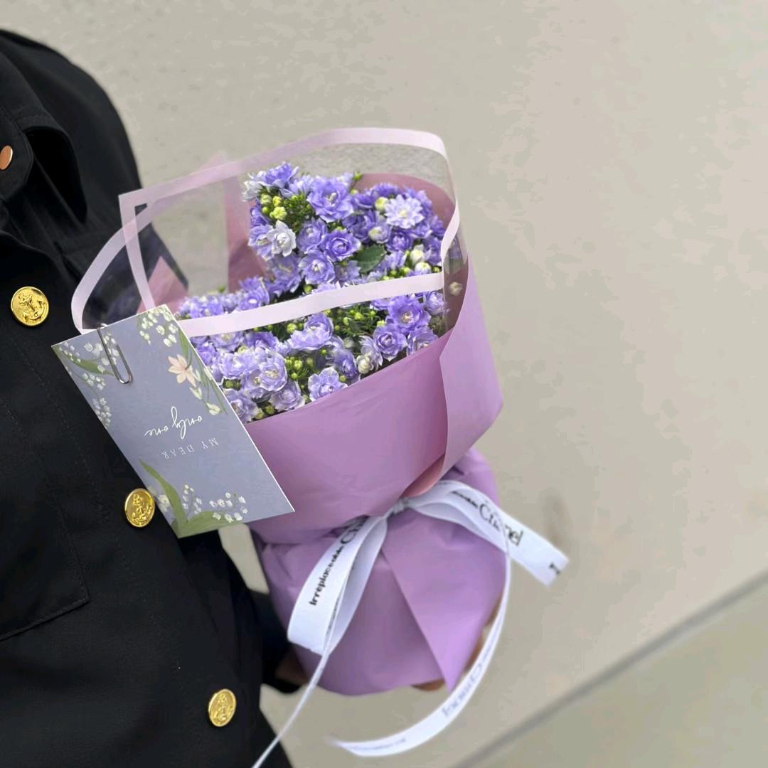 言植美学