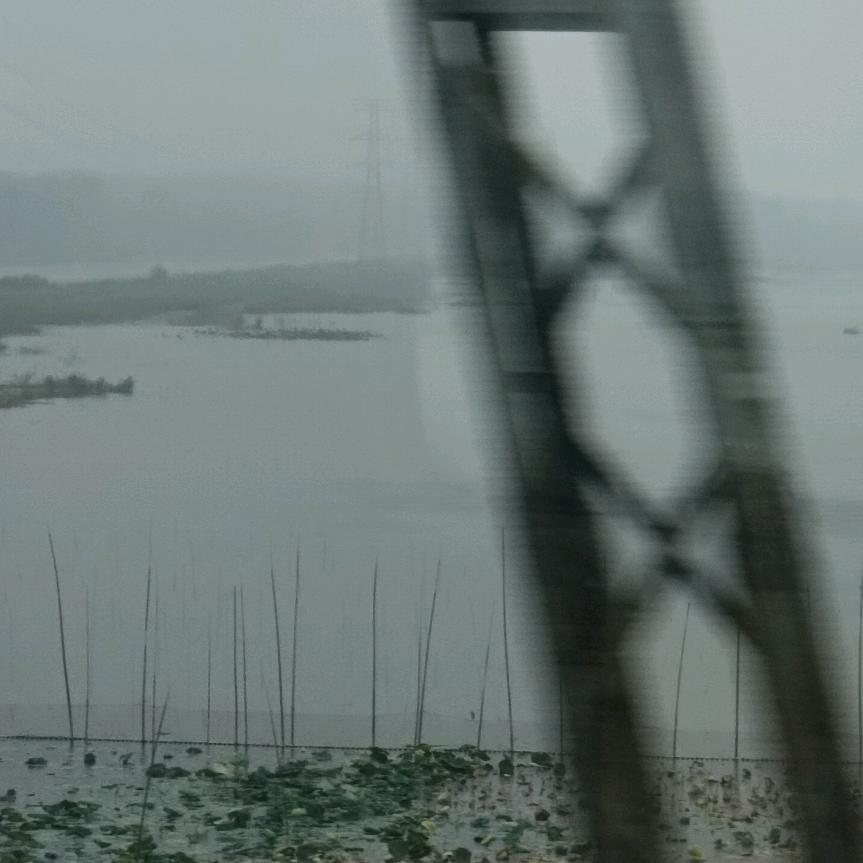 清晨⭐
