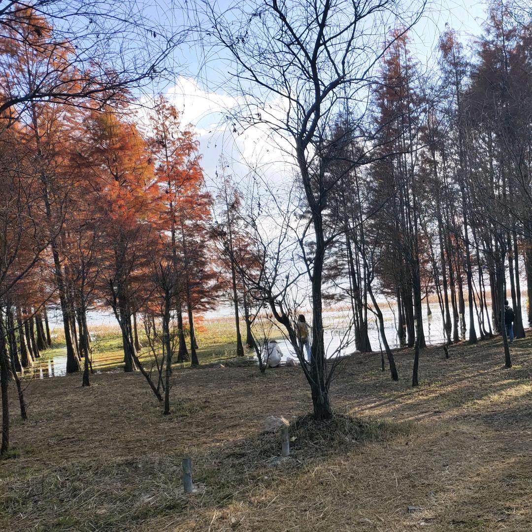 木子马