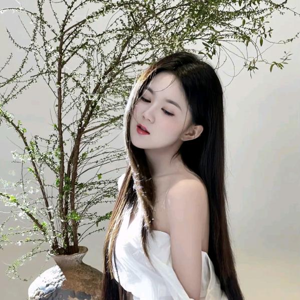成都杨贵妃