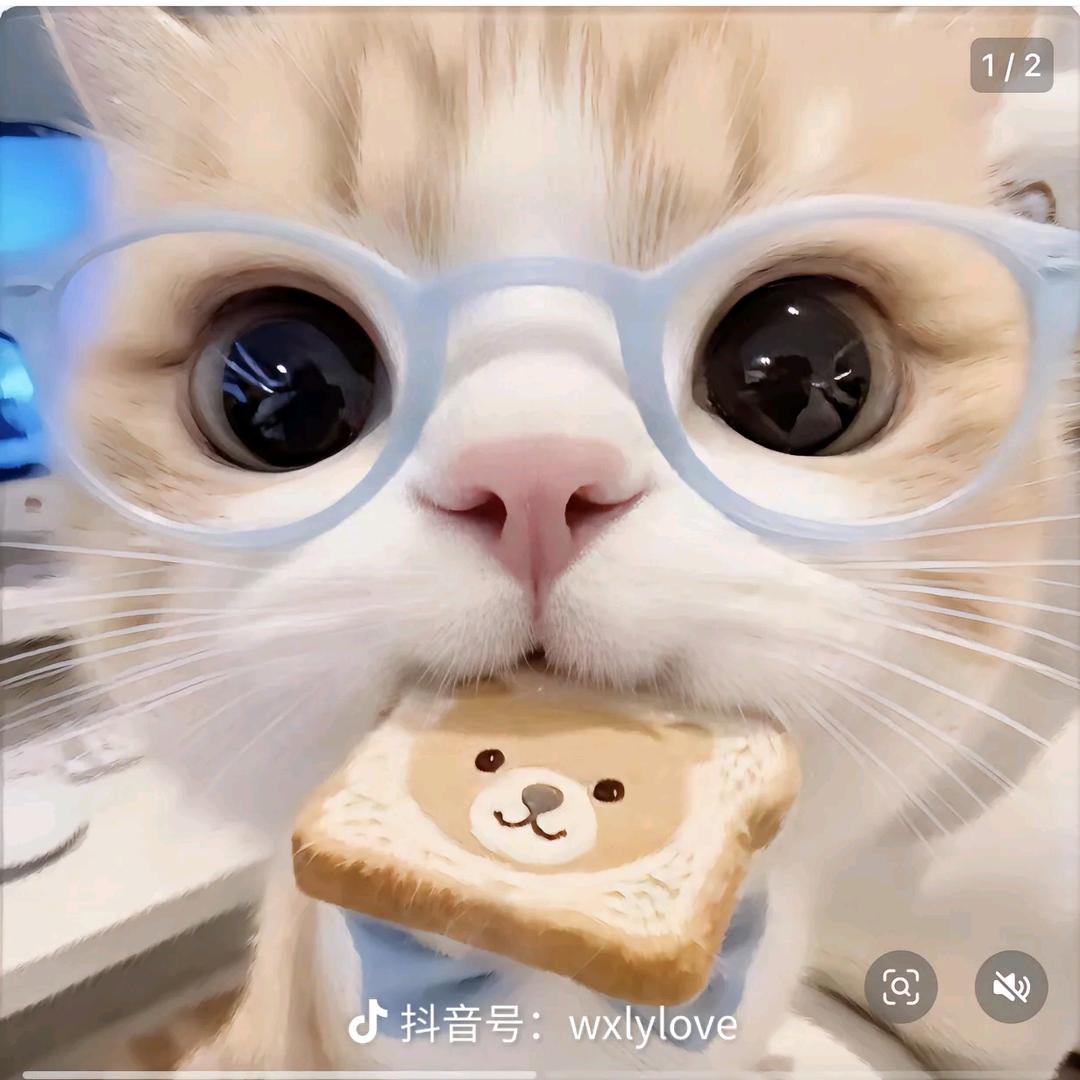 博雅
