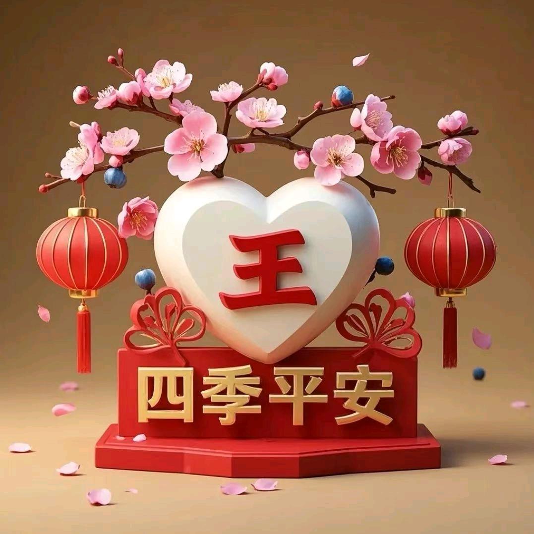 忘忧🌺王优