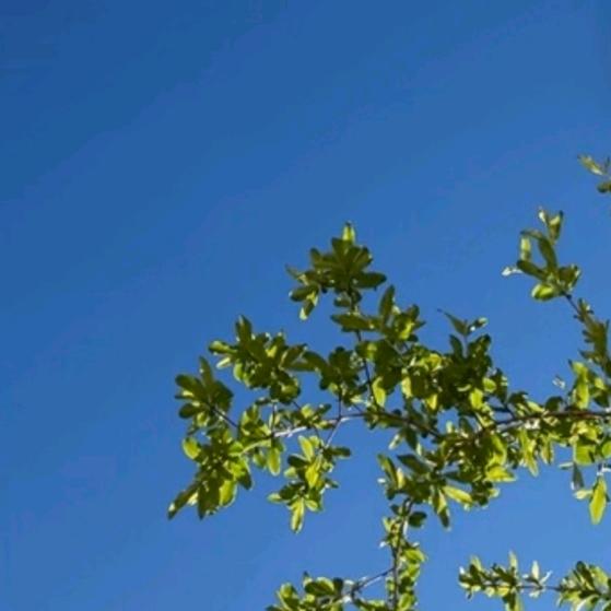 静心