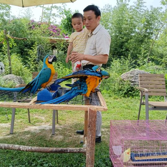 无忧驾考唐老师
