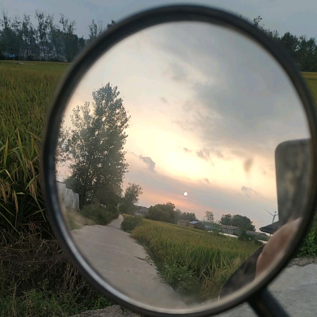 小兔子不乖→_→