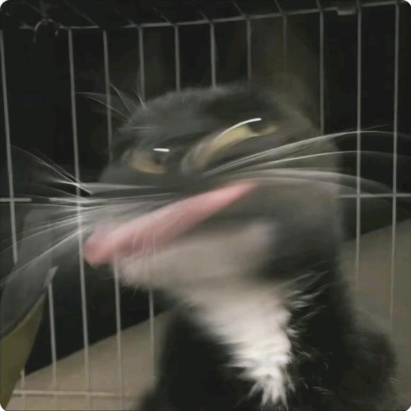 知行修远
