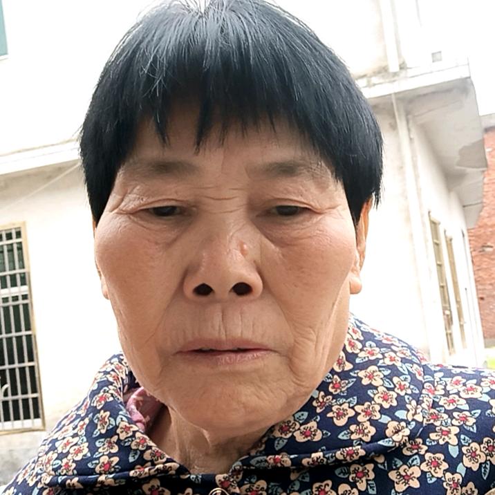 朱老总