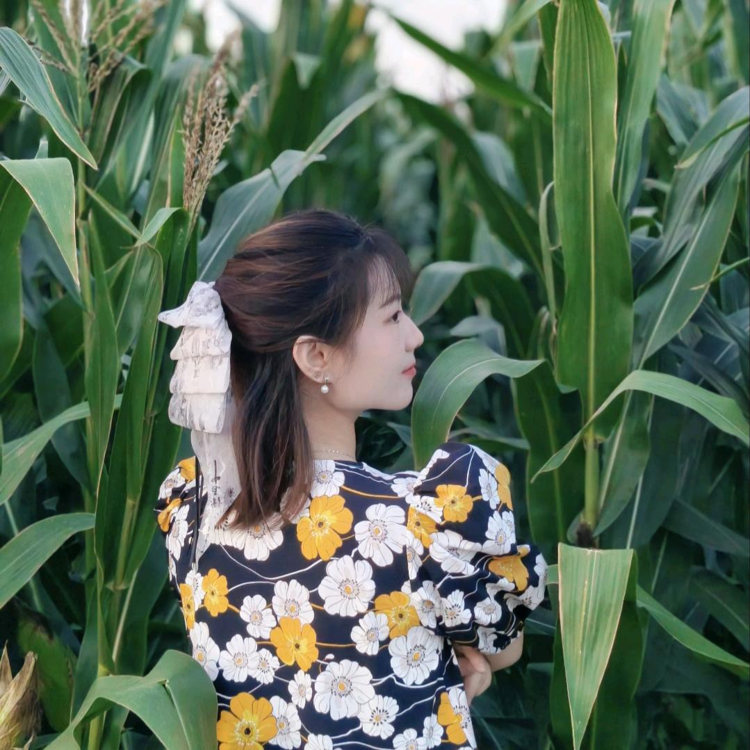 ✨華胥引夢
