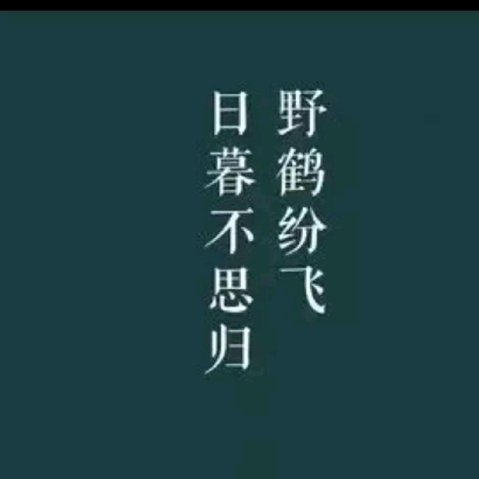 风吹树叶的味道
