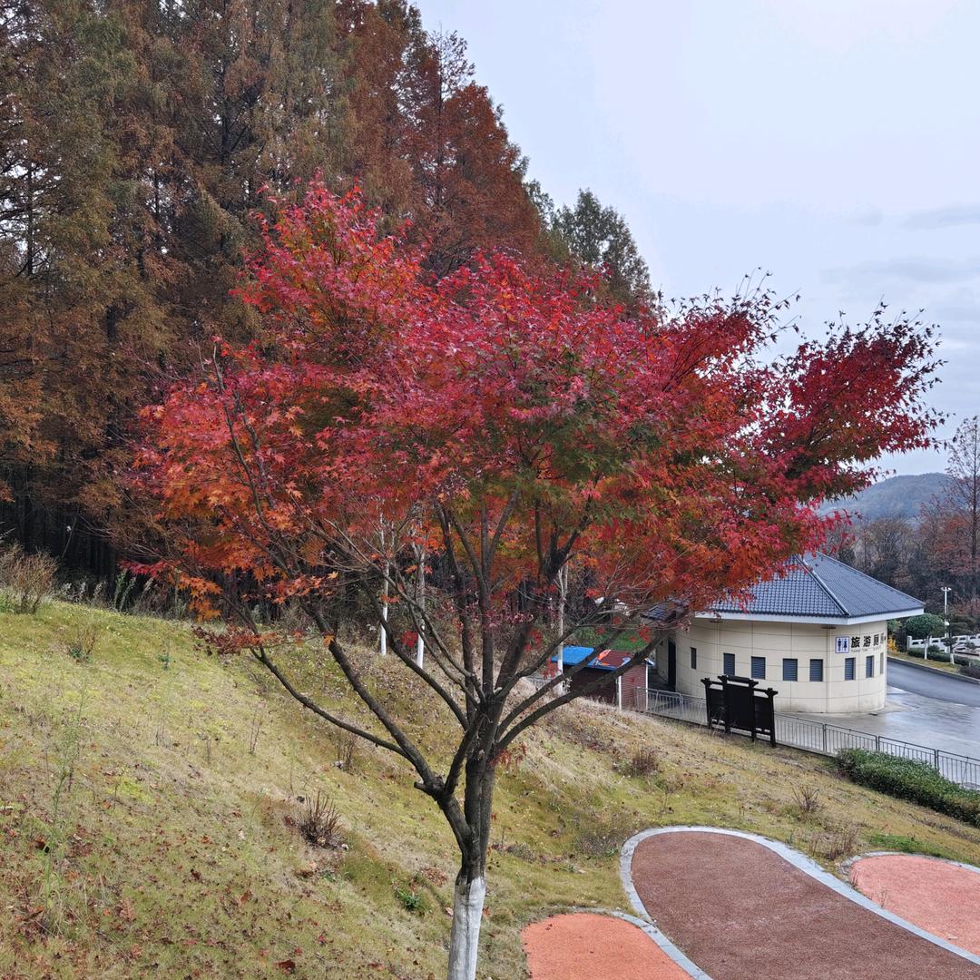 大宝贝