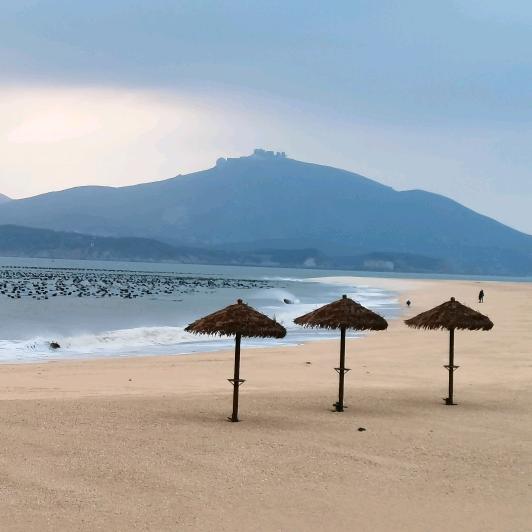 观海阁-罗教授聊高考志愿与专业选择