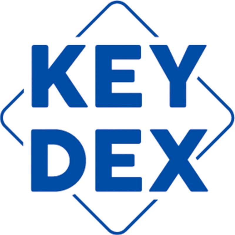 奇特KEYDEX