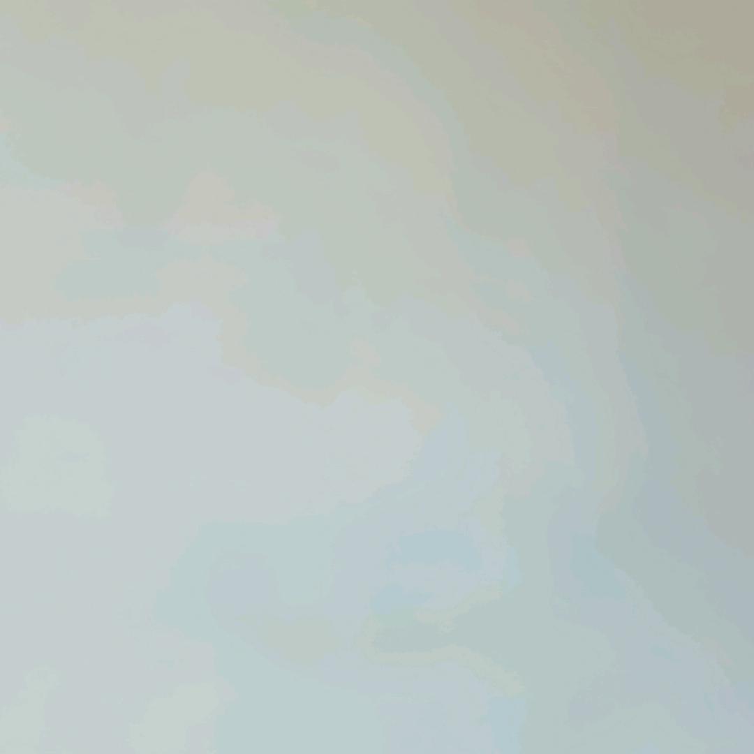 兰芝