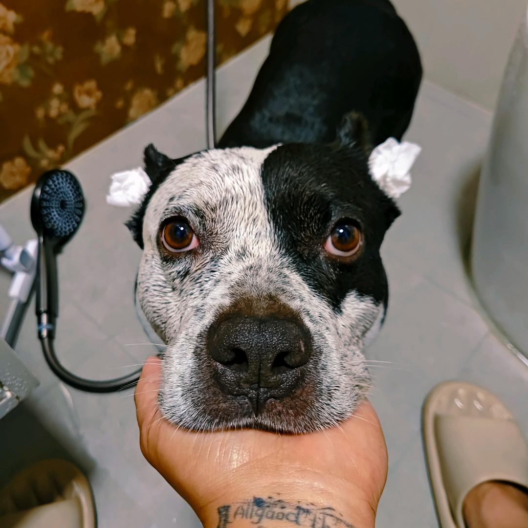 天津驾驶员哎哟