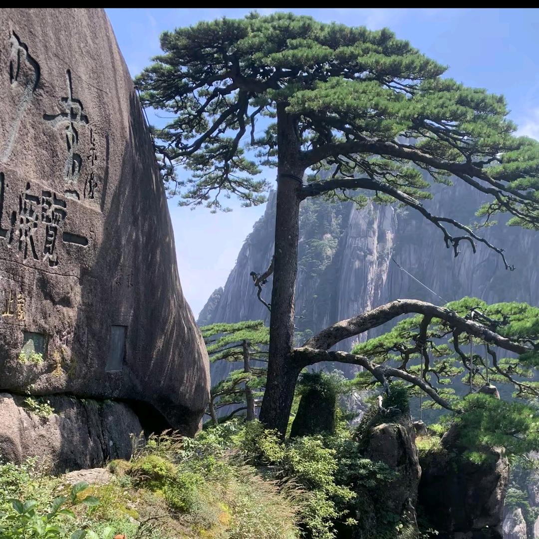 上犹建龍UV 直喷数码印花