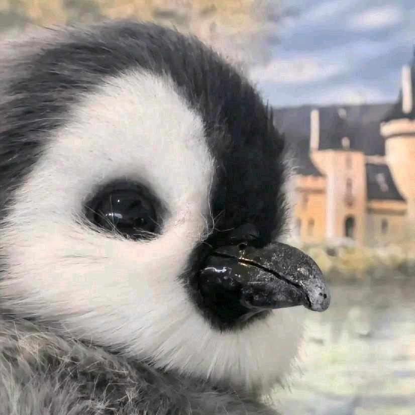 没烦恼