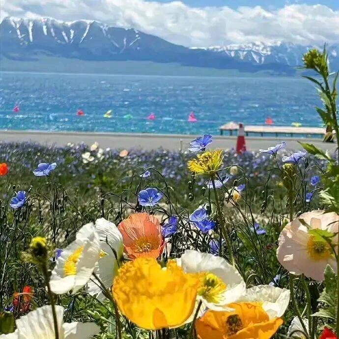 🍁星笺梦羽丶╮の