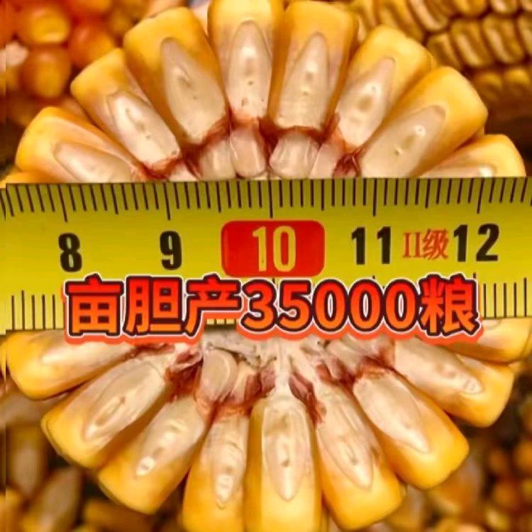 王海敏农资精品小铺