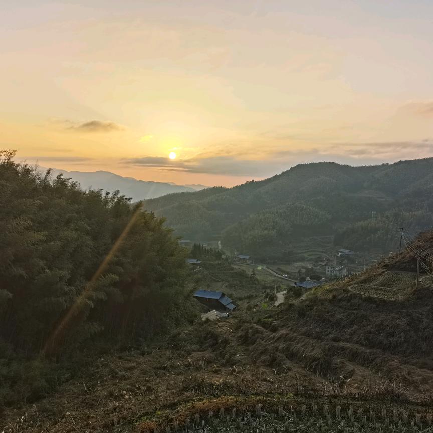 杨杨12199