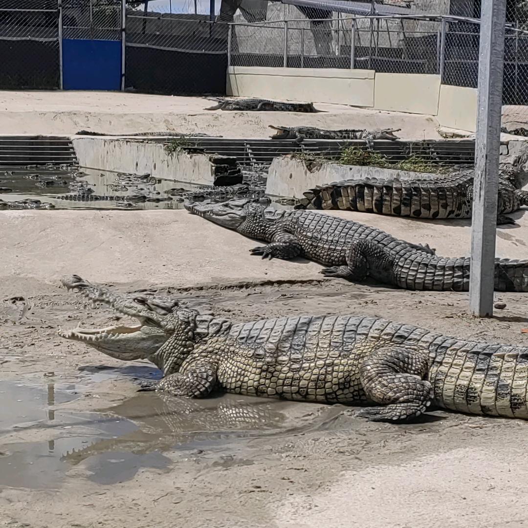 琼海丰阳水产品店