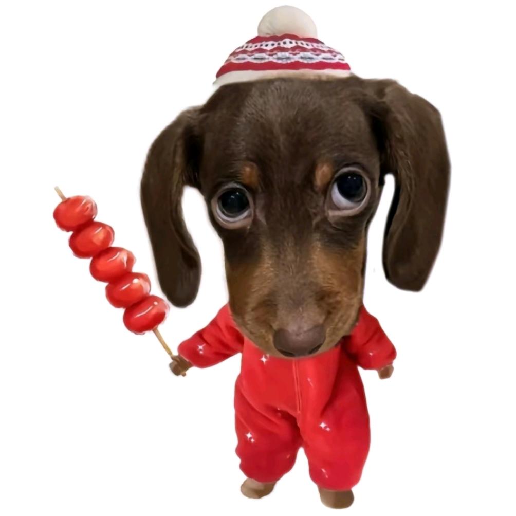 卖了你又不乐意.