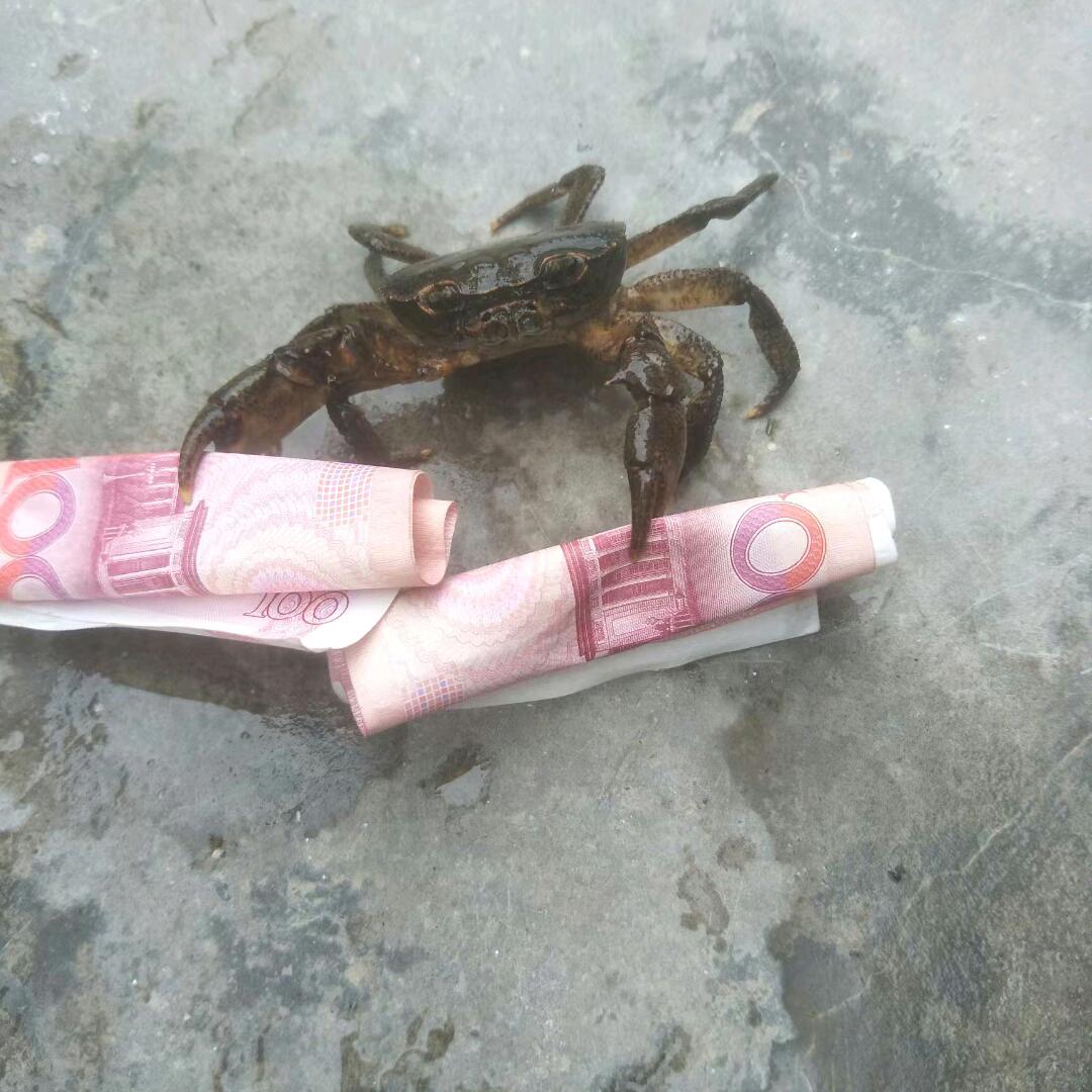 梁哥