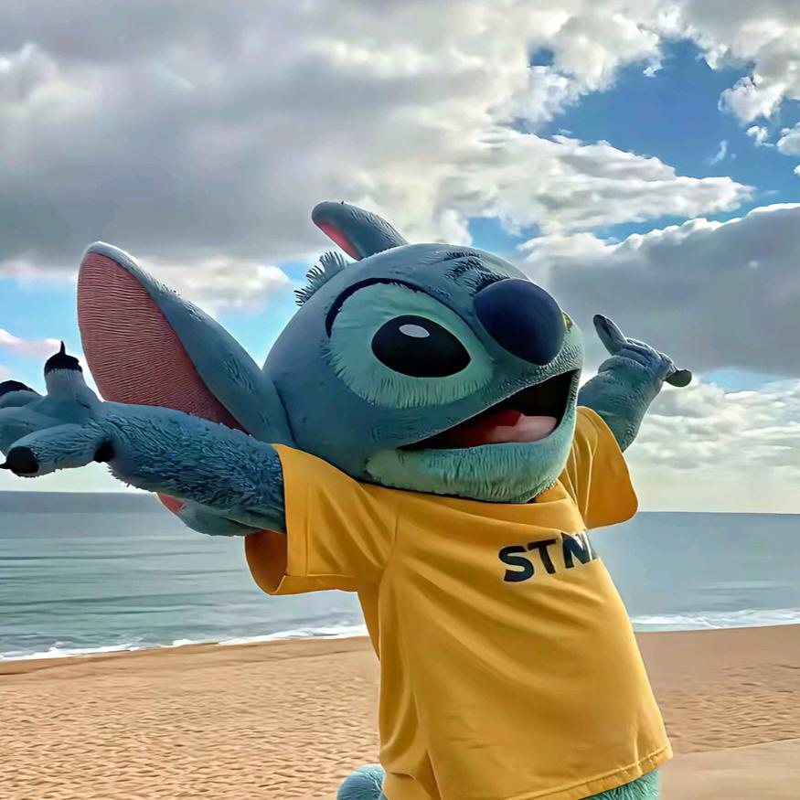 🌺🌺承诺🌺🌺