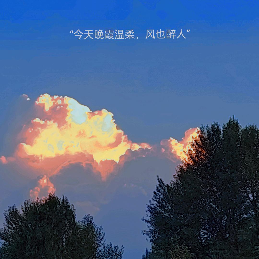 小贾学长(重生版)