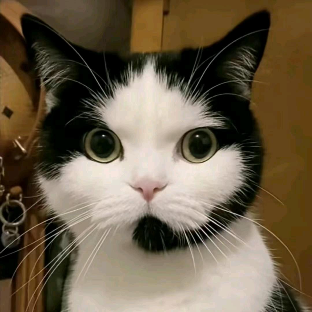 隨風